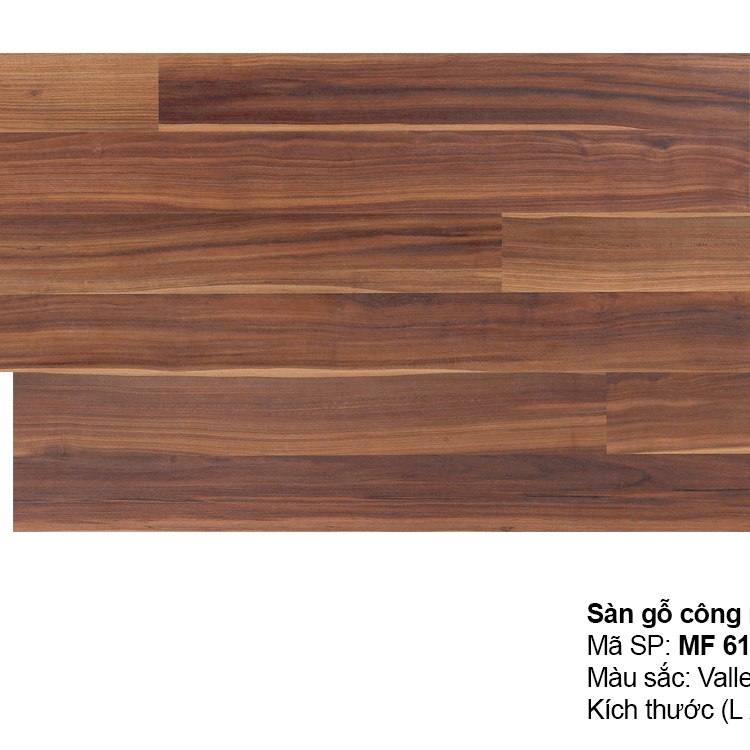 Sàn gỗ INOVAR 8mm : MF613