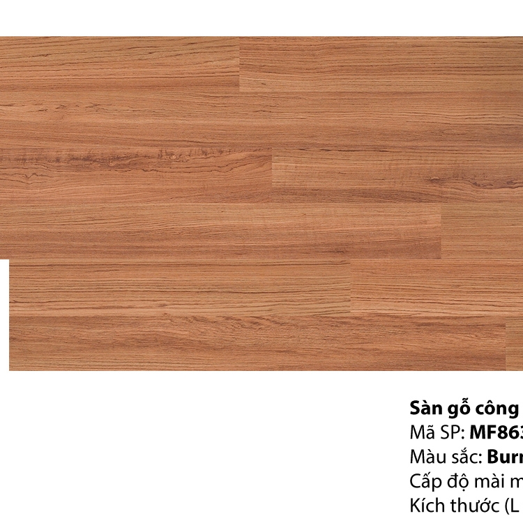 Sàn gỗ INOVAR 8mm : MF863