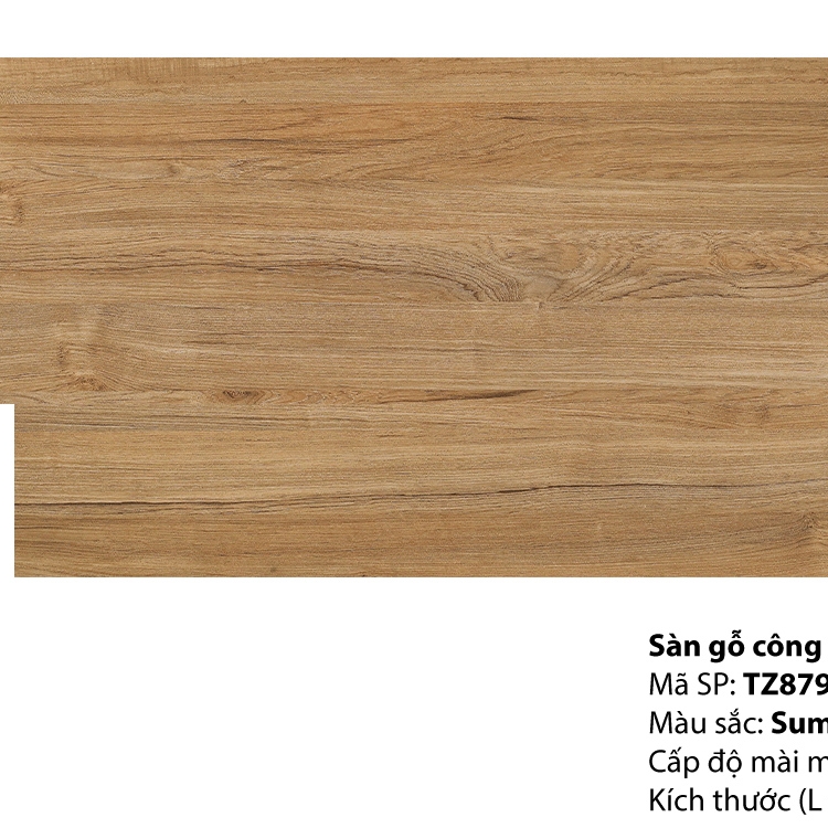 Sàn gỗ INOVAR 12mm : TZ879